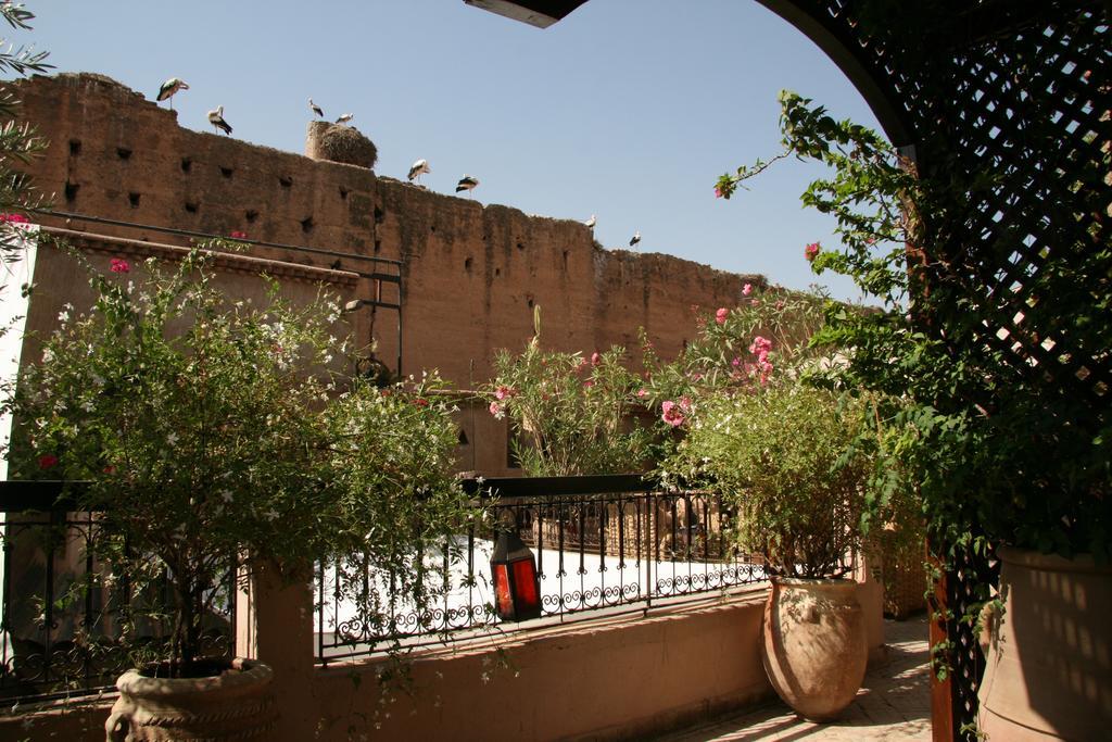 Riad Carina Marrakesh Exterior photo